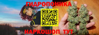 гашик Обнинск