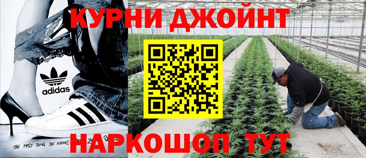Шишки марихуана Amnesia  Бошки Шишки ГИДРОПОН  Конопля White Widow  Каннабис индика  Свободный  Вход с VPN 